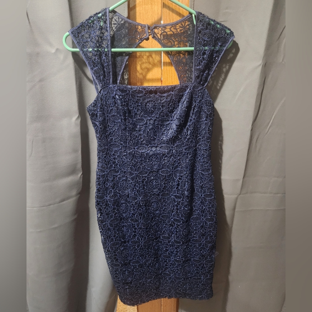 Elegant Navy Lace Mini Dress
